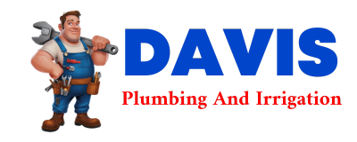 Trusted plumber in PALISADE